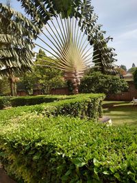 Dream Palace Hotel in Mbale